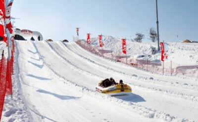 Seoul: SnowyLand in Vivaldi Park with Nami or Alpaca - How the day flows from Seoul to Gangwon