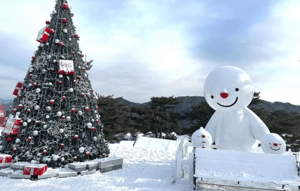 Seoul: SnowyLand in Vivaldi Park with Nami or Alpaca - Lunch and snacks: don’t assume it’s included