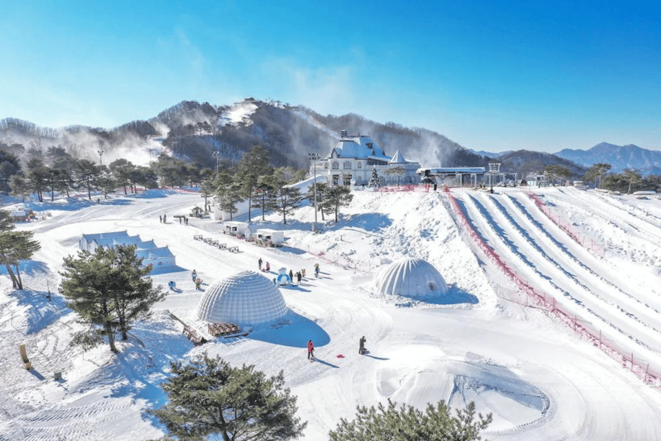 Seoul: SnowyLand in Vivaldi Park with Nami or Alpaca - Winter essentials that actually matter on this tour