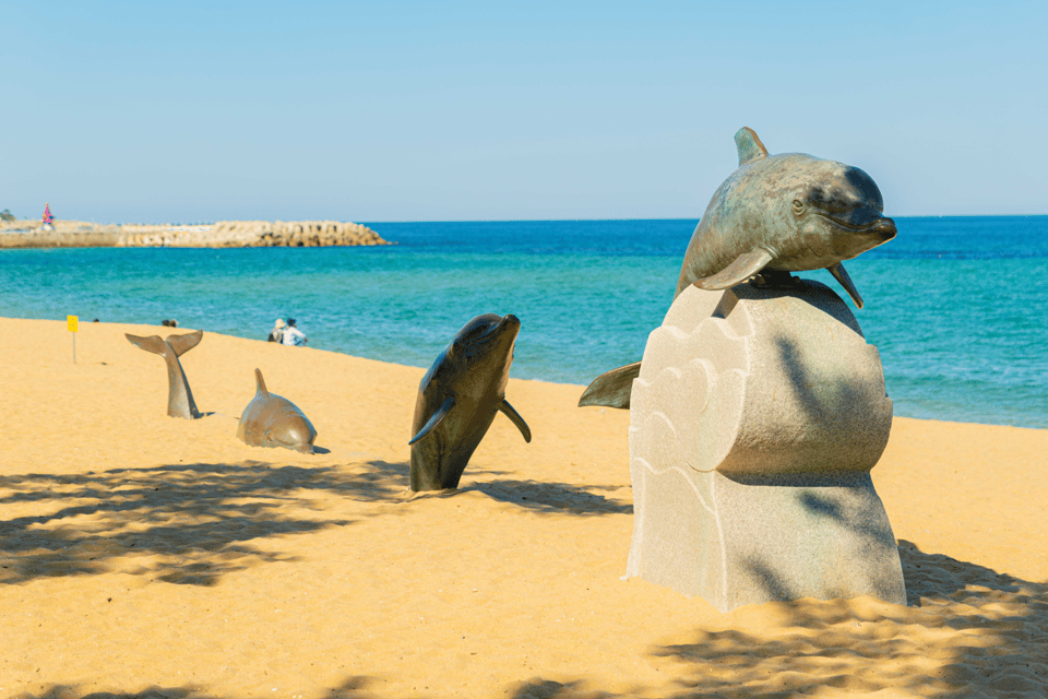 Seoul: Sokcho beach, market, hot spring and Seorak Cable Car - What You’re Getting for $76 (And Why It Adds Up)