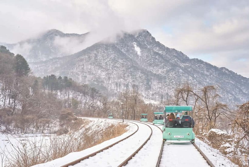 Seoul: Strawberry Picking & Eobi Ice Valley & Nami Island - Key highlights to know before you book