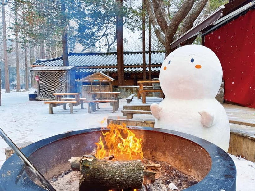 Seoul: Strawberry Picking & Eobi Ice Valley & Nami Island - Garden of Morning Calm and Petite France: magical winter scenes, different vibes