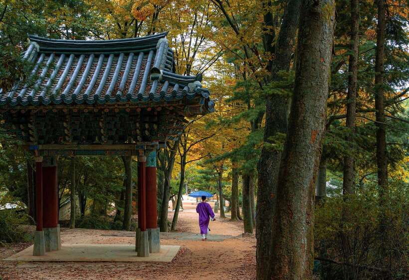Seoul Sunrise & Sunset Hike + Temple & K-Food Adventure - Achasan climb: short, scenic, and stair-focused