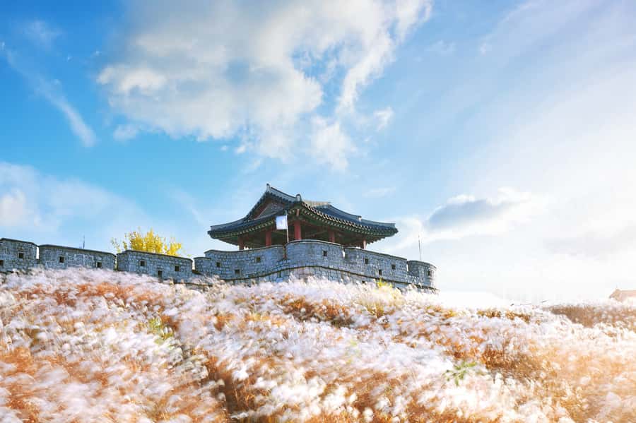Seoul : Suwon Hwaseong Fortress+Starfield Library+Waujeongsa - Key things you will enjoy most in Suwon