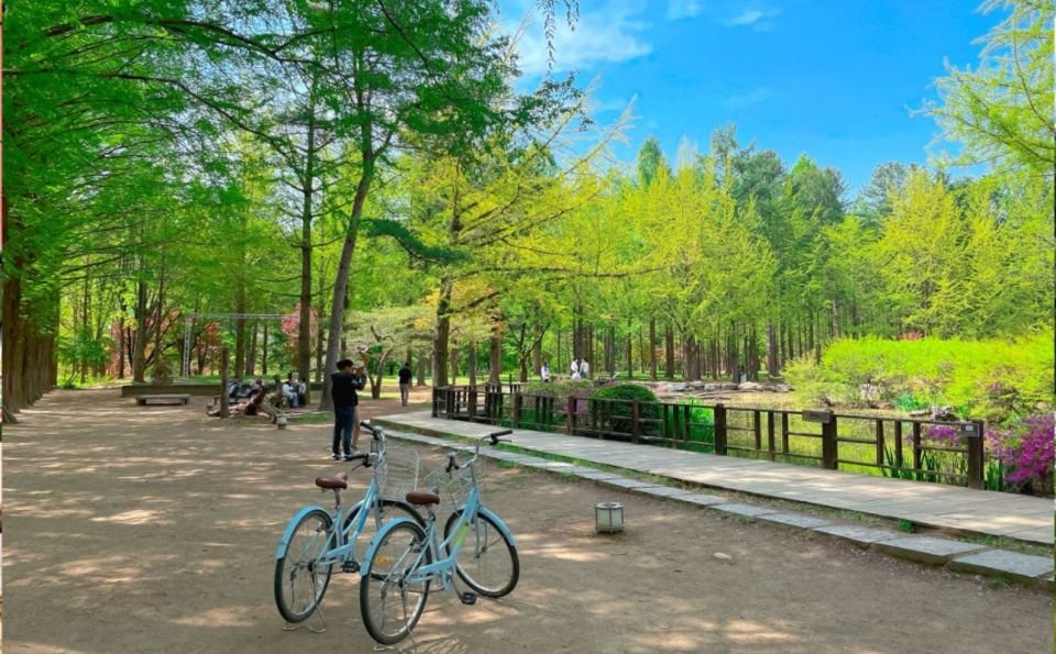 Seoul: The Painter Show with Nami Island - Who this tour fits best