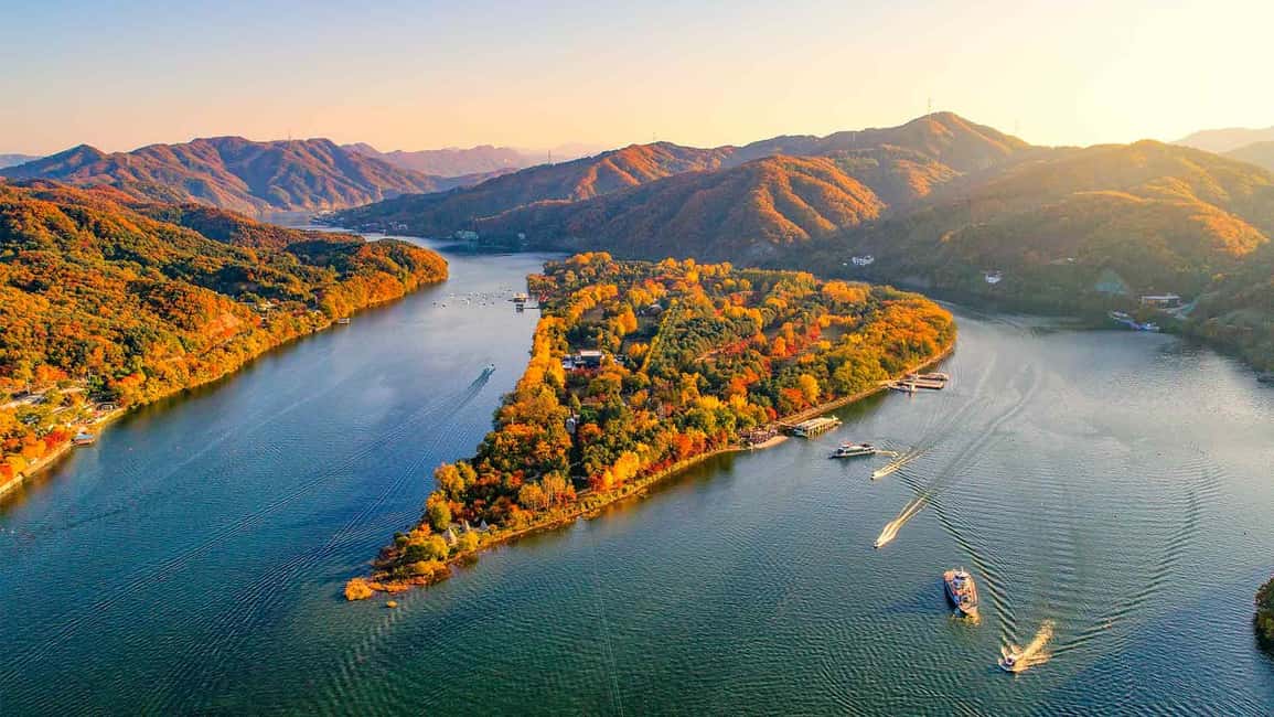 Seoul: The Painter Show with Nami Island - The Nami Island photo stop: when you want one perfect stroll