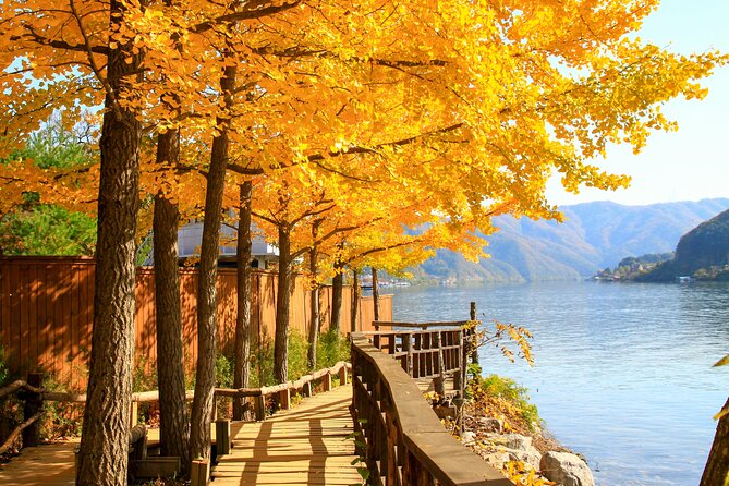 Seoul to/from Nami Island: Round trip Shuttle Bus Service - Why This Seoul–Nami Island Shuttle Makes Sense