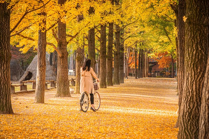 Seoul to/from Nami Island: Round trip Shuttle Bus Service - Tickets and On-Site Add-Ons: What You Pay for Yourself