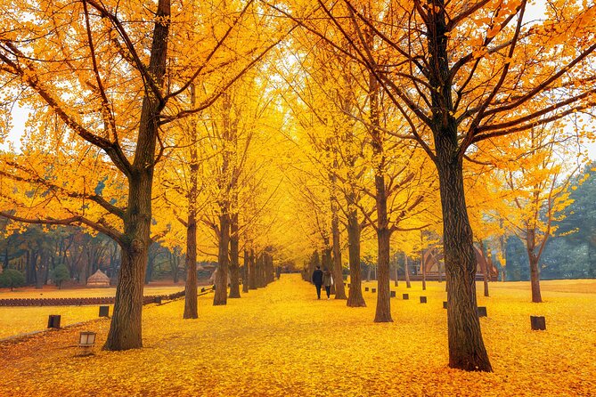 Seoul to/from Nami Island: Round trip Shuttle Bus Service - Comfort, Group Size, and the Communication Reality Check