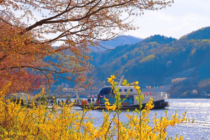 Seoul to/from Nami Island: Round trip Shuttle Bus Service - Pickup Points in Seoul: Hongik, Myeongdong, and Dongdaemun Times