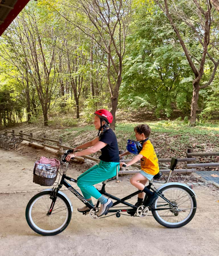 Seoul: Urban Nature Bike Tour along Han River - Key points before you pedal