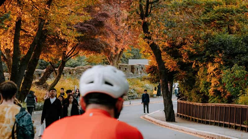 Seoul: Urban Nature Bike Tour along Han River - The guide factor: Koa sets the tone