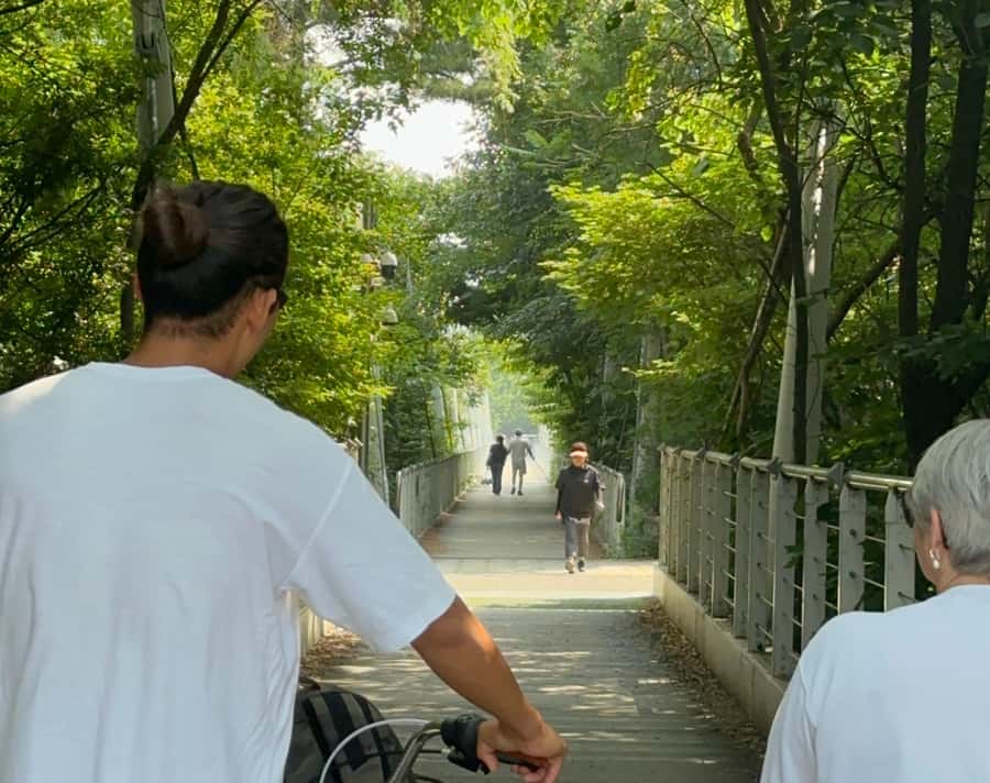Seoul: Urban Nature Bike Tour along Han River - Why this ride works: city views, then real calm