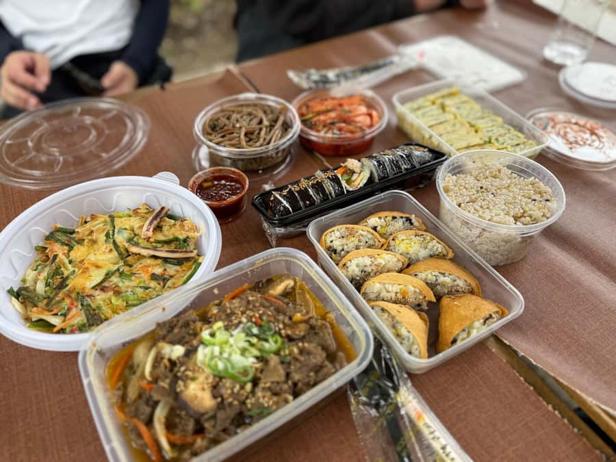 Seoul: Urban Nature Bike Tour along Han River - The optional Han River picnic: doing Seoul like a local