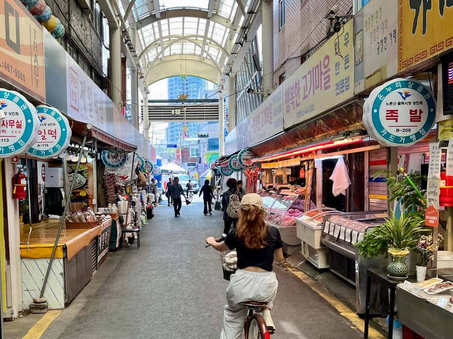 Seoul: Urban Nature Bike Tour along Han River - Bikes, pace, and who this tour fits best