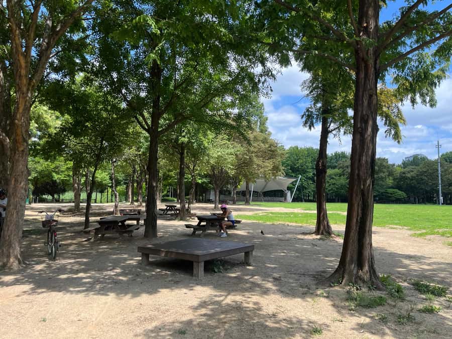 Seoul: Urban Nature Bike Tour along Han River - What $50 buys you (and why it’s decent value)