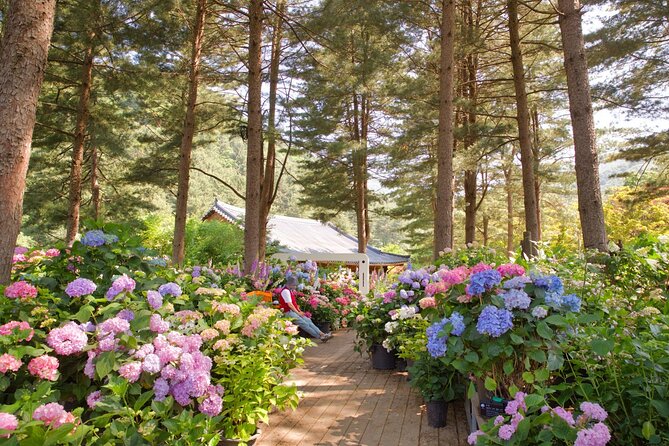 Seoul Vicinity 5 in 1: Nami Island, Garden of Morning Calm & More - Garden of Morning Calm: The Stop That Sets the Tone