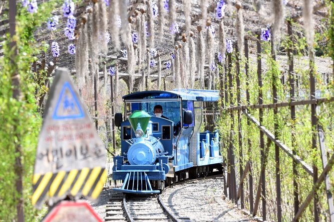 Seoul Vicinity 5 in 1: Nami Island, Garden of Morning Calm & More - Weather and Traffic: The Two Things That Can Push Your Schedule