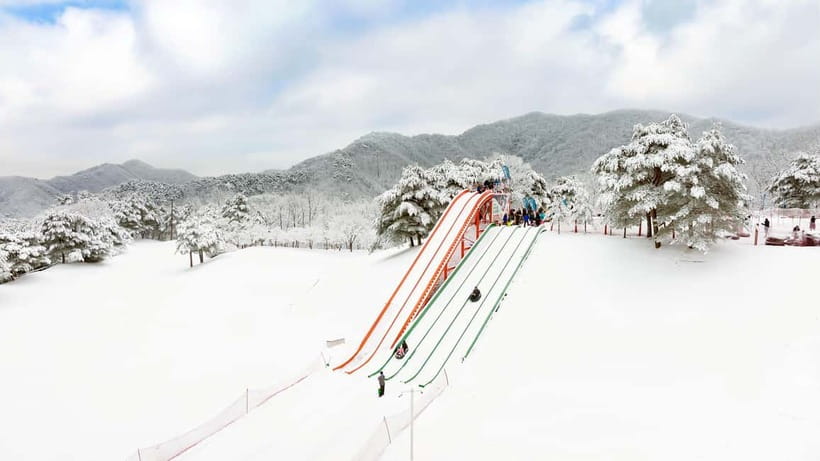 Seoul: Vivaldi Park Winter Ski with Eobi Ice Valley Day Tour - From Seoul to Gangwon Province in One Long Day