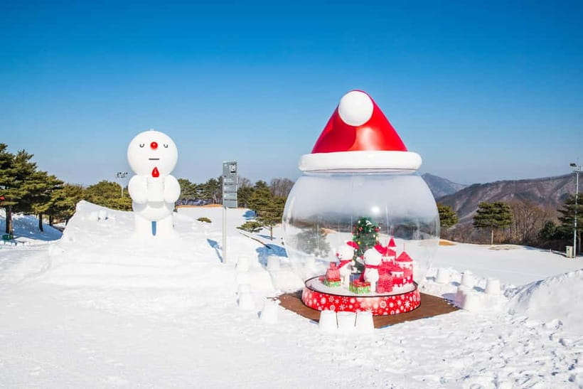 Seoul: Vivaldi Park Winter Ski with Eobi Ice Valley Day Tour - Guides and Learning: The 1-Hour Lesson That Actually Helps