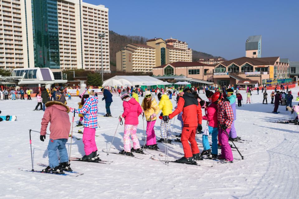 Seoul: Vivaldi Park Winter Ski with Nami Island Day Tour - Practical Logistics: What to Bring and What to Expect