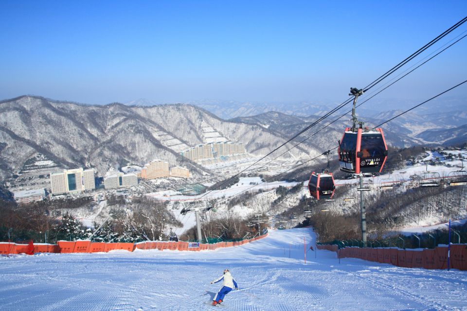Seoul: Vivaldi Park Winter Ski with Nami Island Day Tour - Choosing Your Package: Shuttle, Ski, Snowboard, or Sled