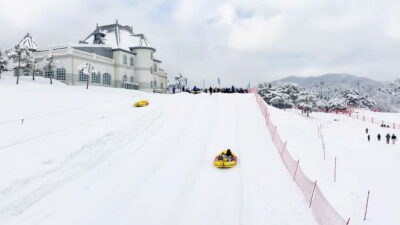 Seoul: Vivaldi Park Winter Ski with Nami Island Day Tour - Getting From Central Seoul to Vivaldi Park (and Back)