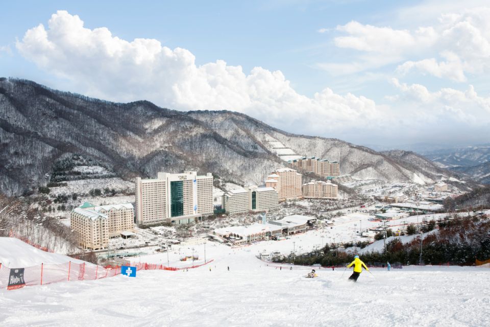 Seoul: Vivaldi Park Winter Ski with Nami Island Day Tour - What Happens at Vivaldi Park Ski World (Timing + What You’ll Do)