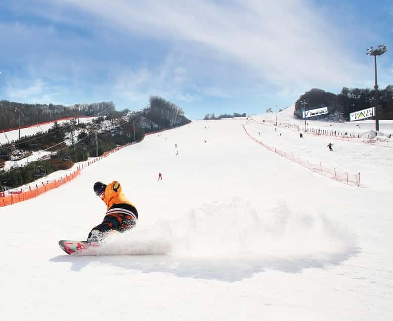 Seoul: Vivaldi Park Winter Ski with Nami Island Day Tour - Nami Island After Snow: Photos, Walking Time, and Bike Options