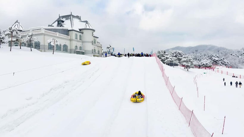 Seoul: Vivaldi Park Winter Ski with Nami Island Day Tour - Getting From Central Seoul to Vivaldi Park (and Back)