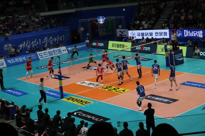 Seoul: Watching Sports Match & Local Food Experience - Key things to know before you go