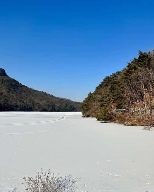Seoul: Winter Day Tour in Pocheon (+Strawberry Picking) - A 10-hour winter mix: lake, herbs, and strawberries from Seoul