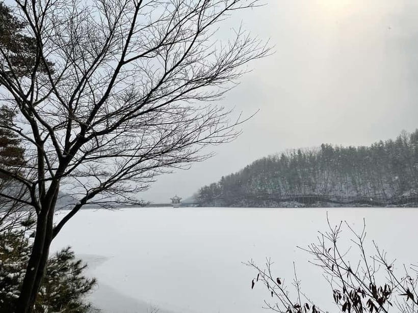 Seoul: Winter Day Tour in Pocheon (+Strawberry Picking) - Dally.On: a self-guided hour that sets the tone