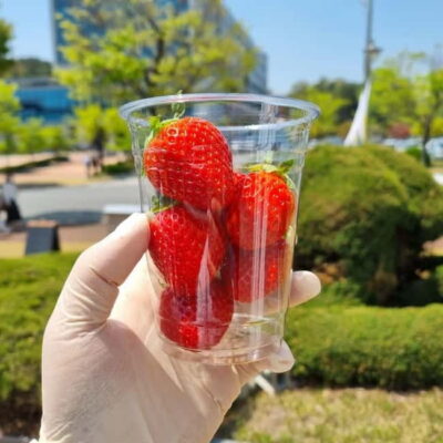 Seoul: Winter Day Tour in Pocheon (+Strawberry Picking) - Getting picked up in Seoul without the stress