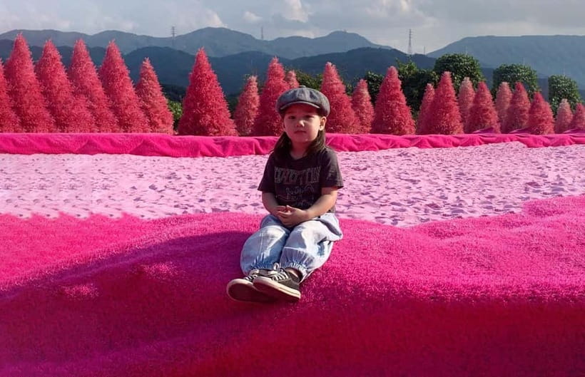 Seoul: Winter Day Tour in Pocheon (+Strawberry Picking) - Pocheon Herb Island: pink photo spots and fragrant garden time