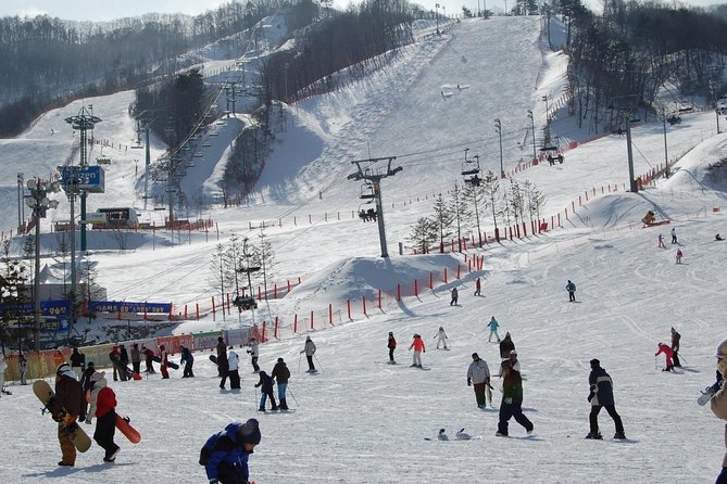 Ski Tour to Jisan Ski Resort from Seoul - Timing on the mountain: rentals, ski time, and lunch on your own