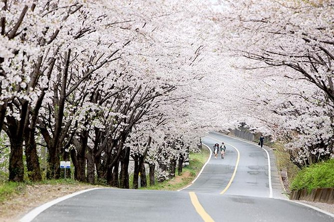 Small Group 7D Korea package Tour with Seoul Gyeongju Busan Jeju - Jeju Island: beaches, a tuff cone, cave time, and the waterfalls of real drama