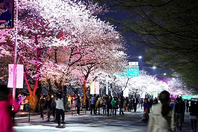 Small Group 7D Korea package Tour with Seoul Gyeongju Busan Jeju - Cooking class in Seoul: bibimbap, pancakes, and soup (not just a demo)