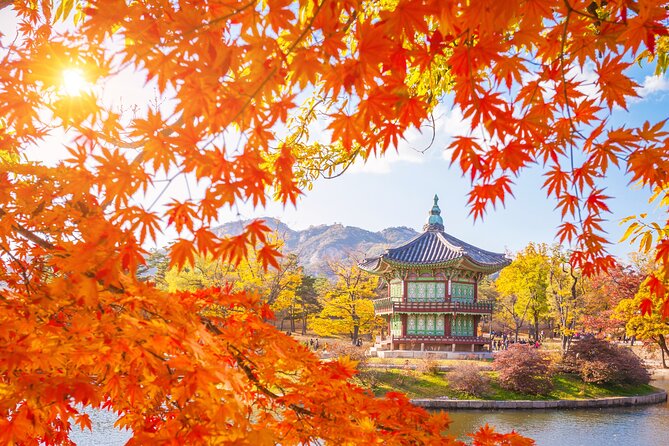 Small Group (7pax) Seoul Tour with Pickup/Dropoff (No Shopping) - Pickup, mini-van comfort, and a realistic 8–9 hour rhythm