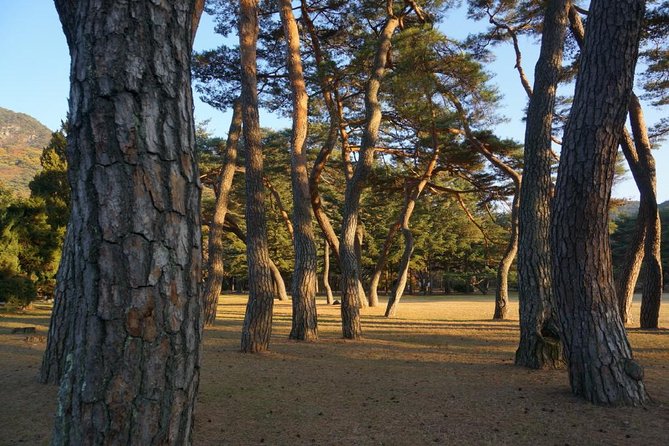 Songnisan National Park & Beopjusa Temple UNESCO site Private Tour - The Seoul pickup and the 2-hour drive that sets the tone