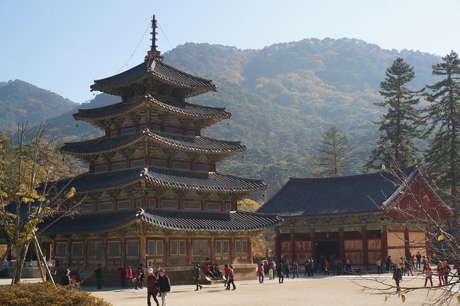 Songnisan National Park & Beopjusa Temple UNESCO site Private Tour - Lunch and comfort breaks: built for a late meal