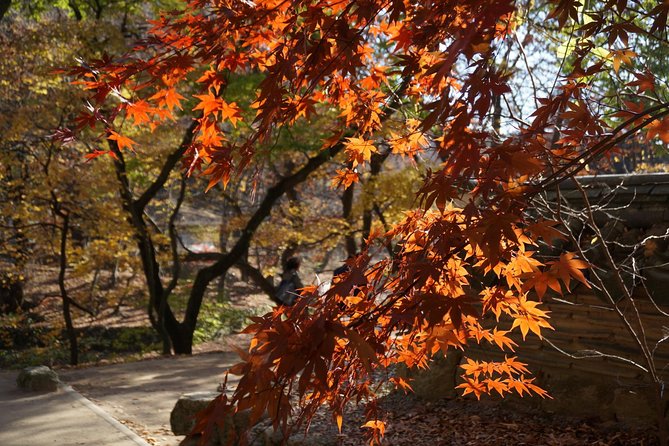 Songnisan National Park & Beopjusa Temple UNESCO site Private Tour - Why Mr. Kim’s guidance makes the day work