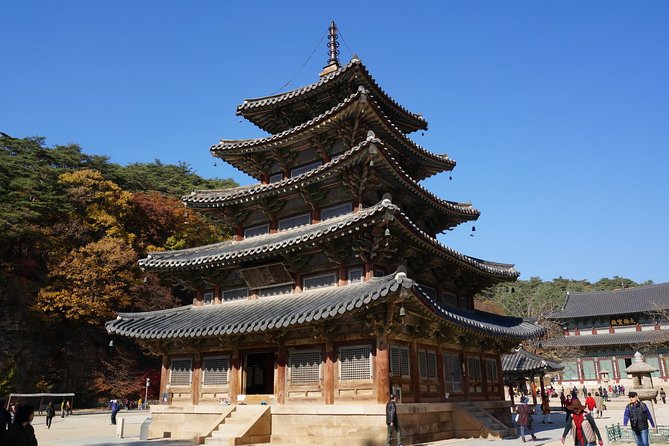 Songnisan National Park & Beopjusa Temple UNESCO site Private Tour - Songnisan National Park: pick your trail level and stick with it