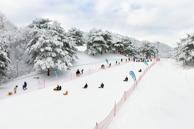 Strawberry Picking, Winter Sled with Eobi Ice Valley from Seoul - Vivaldi Park Snowyland sledding: long slopes and winter playground energy