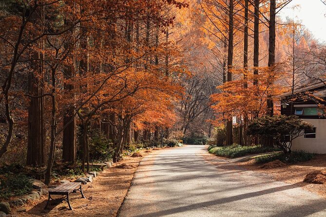 Suwon Hwaseong Fortress & Jangtaesan Full-Day Tour: Autumn Leaves - Morning Start From Seoul: How the 6:15 to 7:00 Pickups Shape Your Day