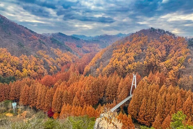 Suwon Hwaseong Fortress & Jangtaesan Full-Day Tour: Autumn Leaves - Weather and Flex Plans: What to Do If Autumn Turns Into Rain