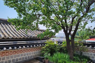 Traditional Gourmet - Hanok lunch: the real core of the $120 value