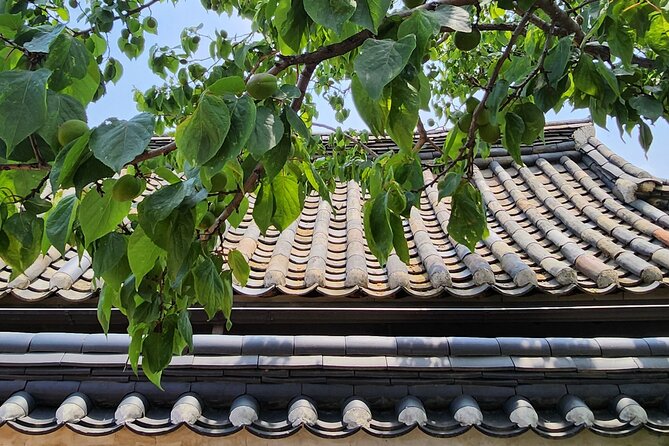 Traditional Gourmet - Walking Stop 2: House of Baek Inje and preservation you can picture