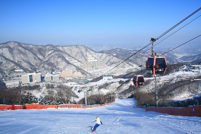 Vivaldi Park Winter Ski Resort with Nami Island Tour from Seoul - Quick Take: What Makes This Tour Feel Worth It