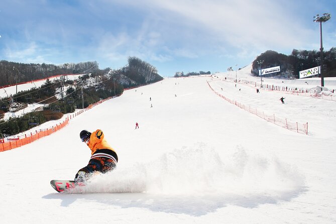Vivaldi Park Winter Ski Resort with Nami Island Tour from Seoul - Vivaldi Park Ski World: 4 Hours of Slopes for All Levels